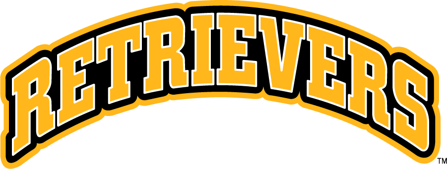 UMBC Retrievers 2010-Pres Wordmark Logo v3 diy iron on heat transfer